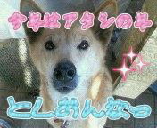 としおんなっ