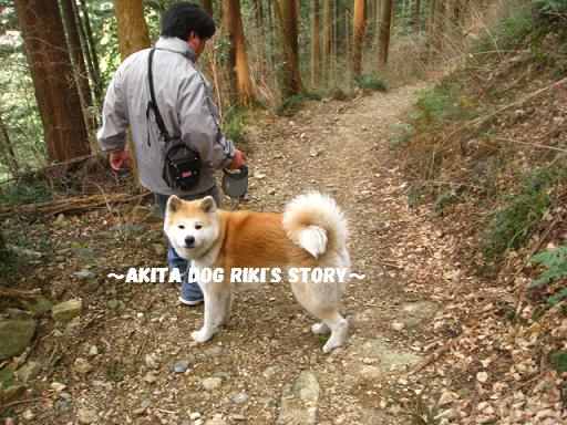 秋田犬　リキの物語