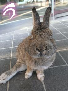 ポテっ子ちゃん3