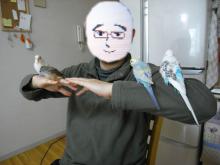 ピノコ研究所