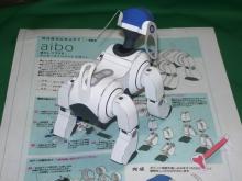 aibo　white