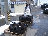 （有）西脇農園ニュース