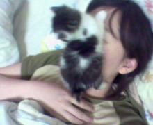 構ってにゃ。