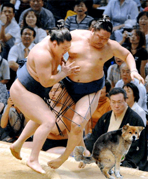 千秋楽