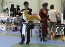 20060107_1
