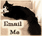 email form