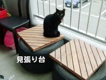 ベランダ見張り台