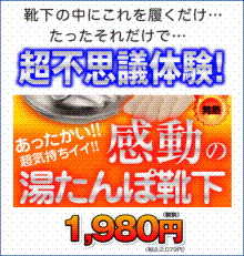 「クリック内職」で月収６０万-MIRAぽか