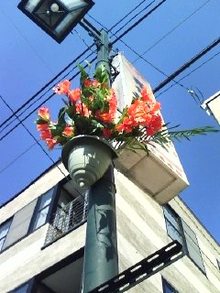 木の暮らし　ｂｌｏｇ　-081204_1225~0001.jpg