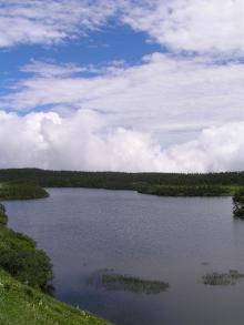 八幡沼