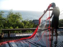 Windsurfer6