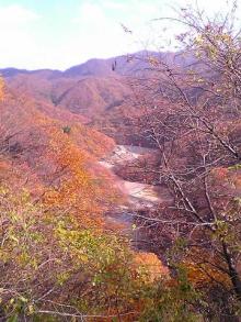 momiji2