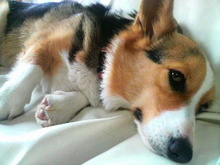 2008060209000000.jpg
