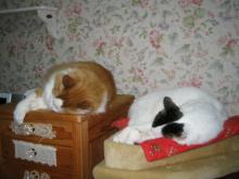 ８．９．１０…シビル&dodici&Treize