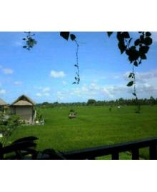 UBUD