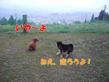 いや～よ