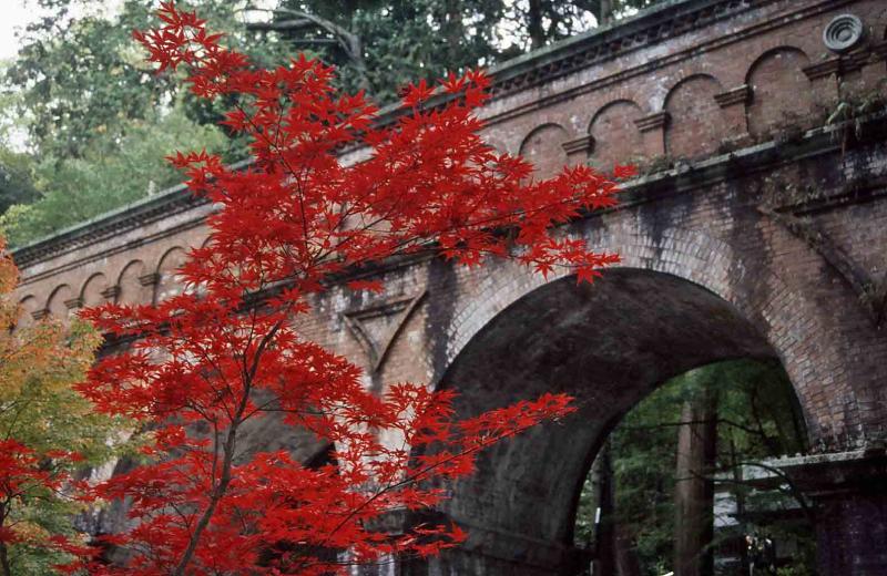 一足お先に洛東紅葉情報