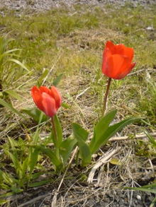 070415_1419~01.jpg