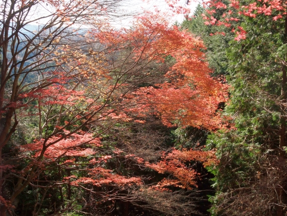 あっことひろの楽しい山登り日記