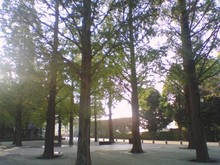 2007_1024_139.jpg