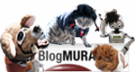 父ちゃんと三匹と-mura-banner4