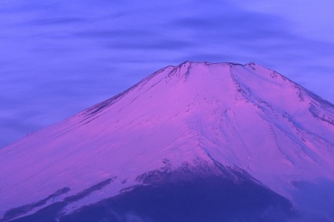 $拉致被害者救出荒木調査会代表支持勝手連-fujisan