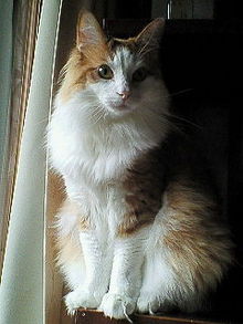 200806050736000.jpg
