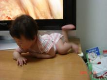 nobori2