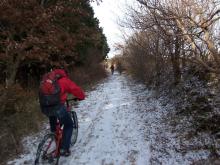 MTB