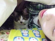 寝る準備中にゃ