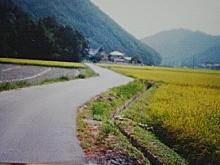 三田の田舎道