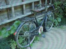 自転車