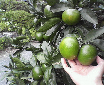 200810041459000.jpg