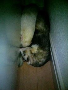 重なり合ってます