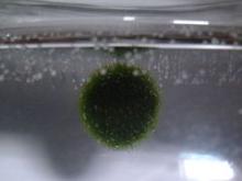1.25-2