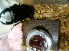 DCF_0166.jpg