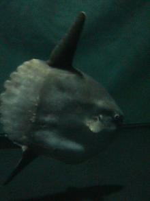 200702181800001.jpg
