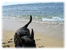 WeBeesHawaii iBeeブログ