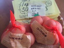 kokkoro