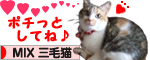 ココをぽちっするにゃ!
