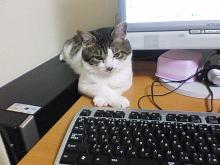 ぶすー