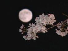 aika’s lyrics for songs ～藍香～-満月と桜