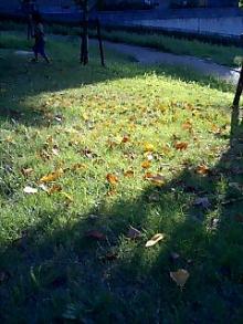 060923_1651~0001.jpg