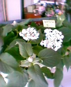 060811_100637.jpg