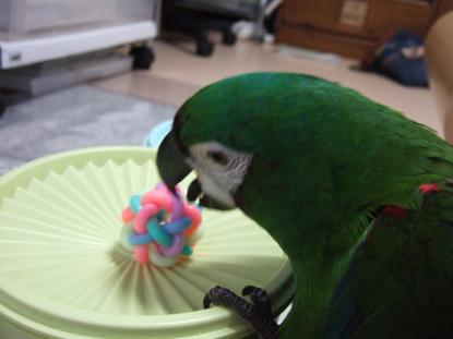 いたずら