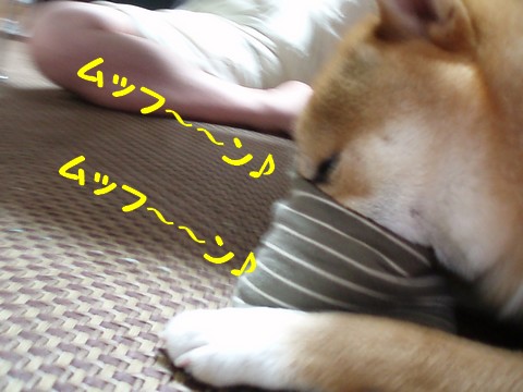 ムフ~~ン♪