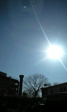 ともさかりえ　オフィシャルブログ　Powered by Ameba-081231_1052~0001.jpg
