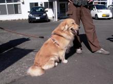 南国の新之助のブログ-パンチ