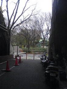 MCゴトウライタのブログ-路地裏.jpg
