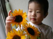 himawari2